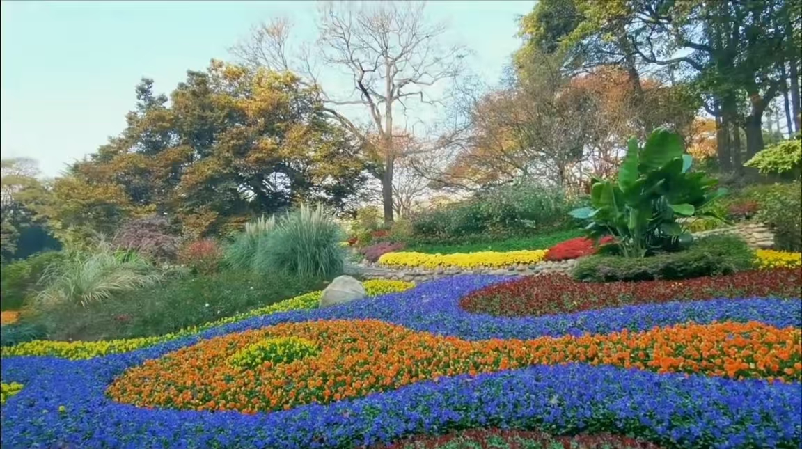 青岛百花苑游玩攻略